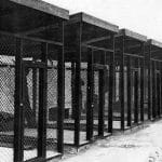 Le gabbie del «Disciplinary Training Center» del campo di concentramento alleato di Coltano nei pressi di Pisa, dove nel 1945 fu rinchiuso il poeta Ezra Pound