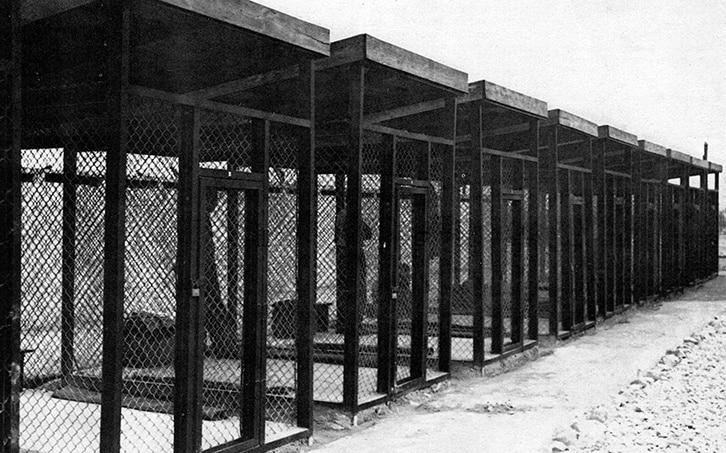 Le gabbie del «Disciplinary Training Center» del campo di concentramento alleato di Coltano nei pressi di Pisa, dove nel 1945 fu rinchiuso il poeta Ezra Pound
